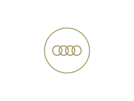 Audi driving experience at Madonna di Campiglio 