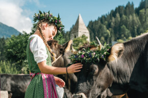 Giovenche di razza Rendena