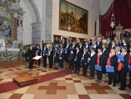 Laudate Dominum in chordis et organo. Geistliche instrumentale Musik