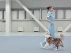 Allegory of Public Happiness