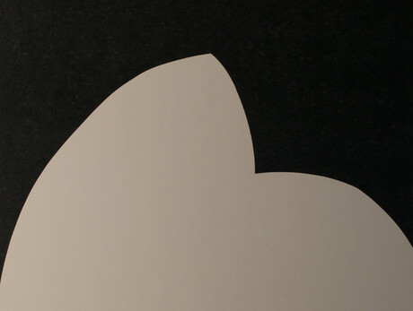 Annamaria Gelmi | The instability of the limit