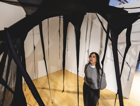 Anthropocene Collection