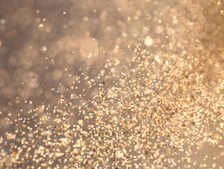 End of the year concert