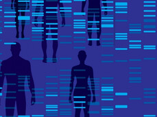 Das menschliche Genom. Was uns einzigartig macht.