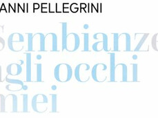 Gianni Pellegrini. Semblances in my Eyes