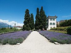Il-giardino-di-Villa-de-Mersi-a-Villazzano-di-Trento(ph Paolo Sandri - Soprintendenza beni culturali)