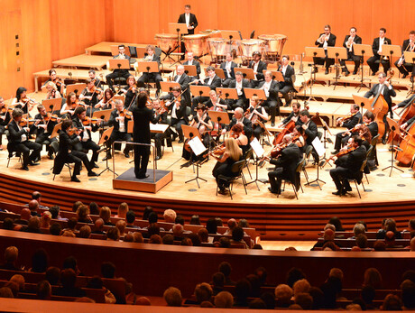 Orchestra Haydn