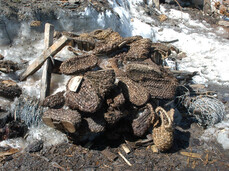 History in the ice. Archaeology of the Great War at Punta Linke