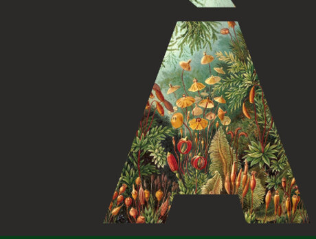 Postnatural gardening