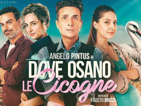 FILM dove osano le cicogne