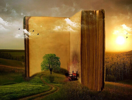 Festa dei libri e di chi legge