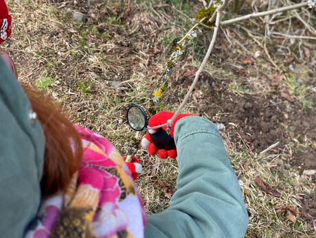 Parco in Famiglia_PanneveggioAutunno