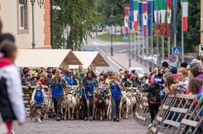 Desmontegada Caore 2