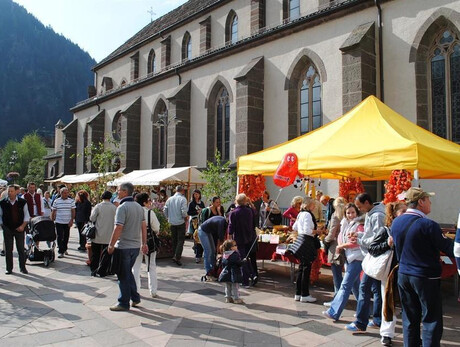 mercato contadino predazzo