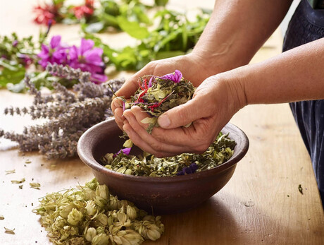 Piante della tradizione: officinali, commestibili e velenose Fiori, erbe, sapori