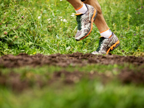 Trittico delle Ville