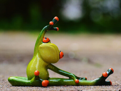 ginnastica tonificante