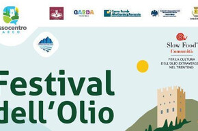 Olive Oil Festival