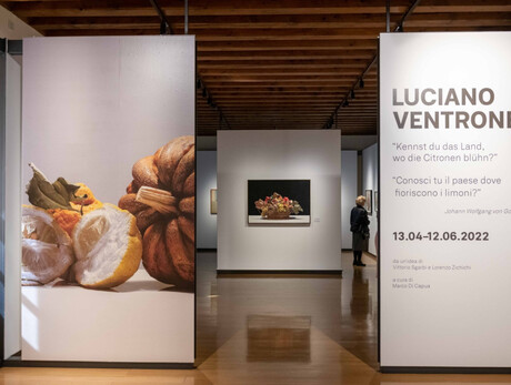 Luciano Ventrone: la mostra