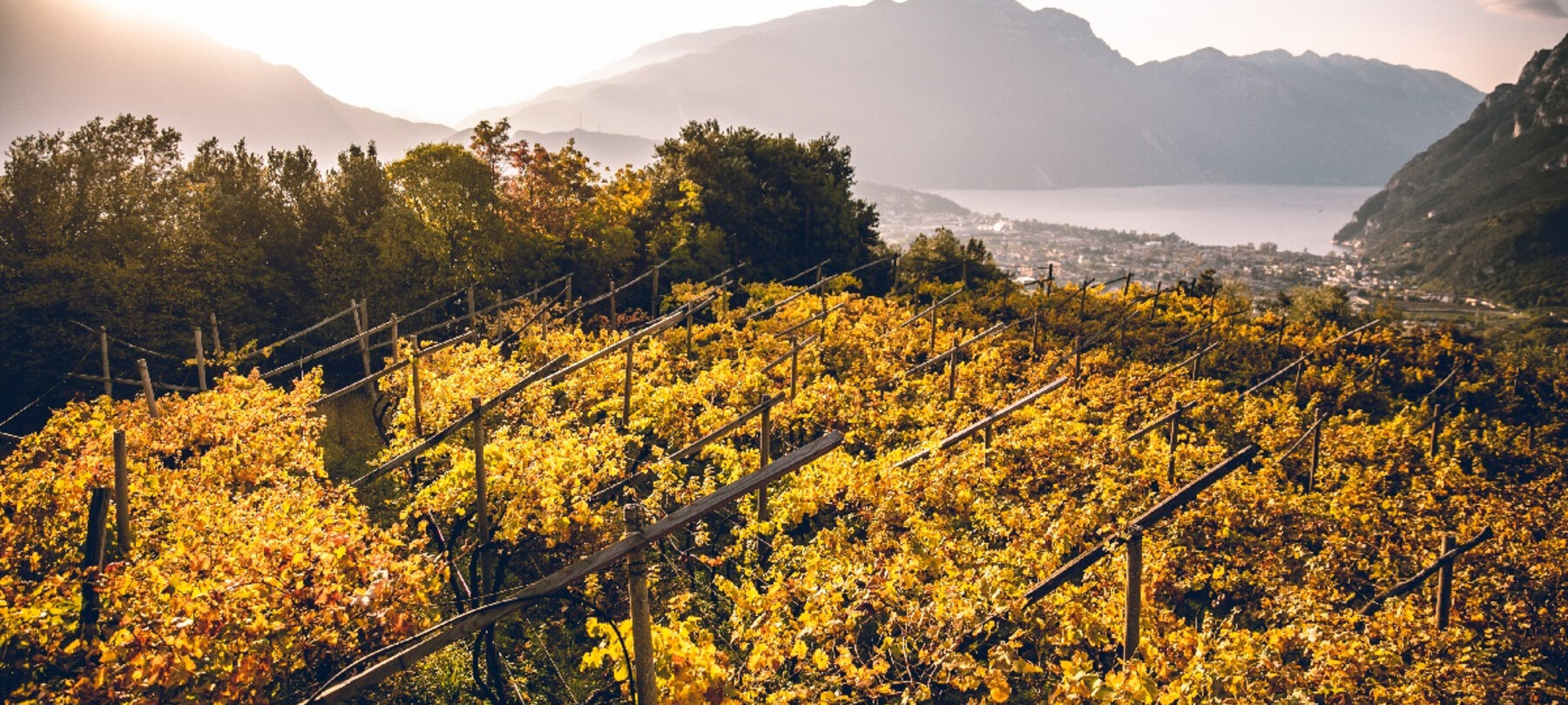 Trentodoc Festival: a Trento dal 26 al 28 settembre 2025