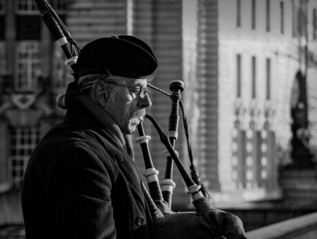 Here come the pipers