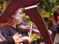 In the foreground, a young harpist draws attention with the delicacy of her notes; behind her, a violinist plays with grace, while in the background a singer adds voice and atmosphere to the ensemble: this is the trio performing live music during the Augustinian Dinner.