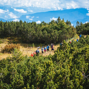 Un gruppo di escursionisti cammina in fila indiana su un sentiero che attraversa un altopiano ricoperto da una fitta vegetazione di pini mughi. Sullo sfondo si apre un ampio panorama di valli e montagne avvolte dalle nuvole.
