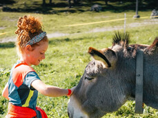 Una bambina, in piedi in un prato verde, allunga una mano per toccare delicatamente il muso di un asino. L'animale, dal manto grigio, appare tranquillo e tiene gli occhi socchiusi.