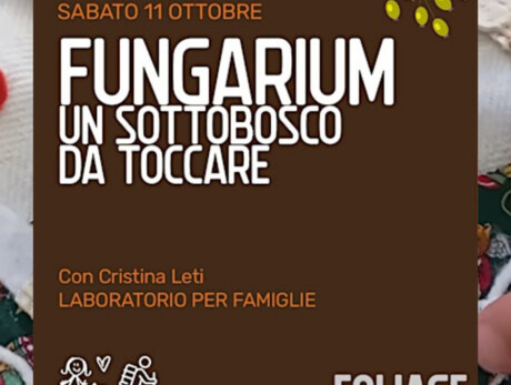 Fungarium: Un Sottobosco Da Toccare
