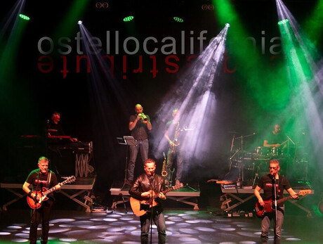 L'immagine mostra la band durante un concerto