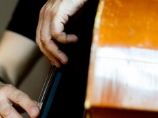 Sounds Of Sauna Autumn