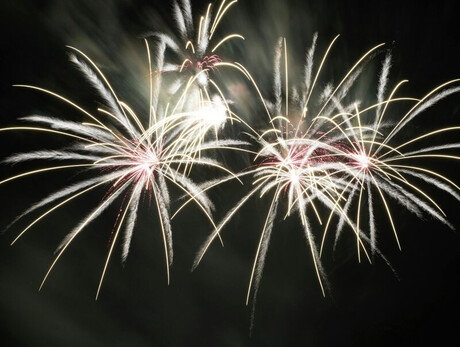 Nell' immagine si vedono fuochi d'artificio nel cielo notturno