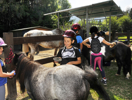 Reiten auf den Seen der Hochebene von Piné