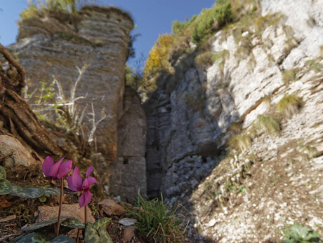 Walking trough history - Wolf's gorge