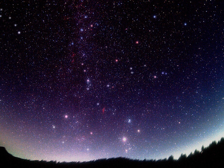 Face to face with the stars - Viote Alpine Botanical Garden