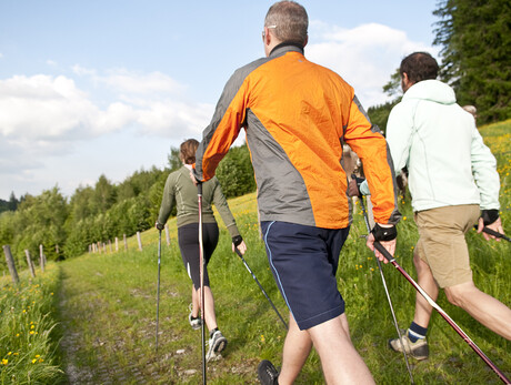 Alla scoperta del Doss del Sabion