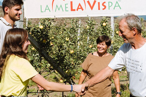 Discovering the MelaVispa