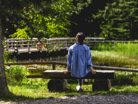 Kunsttherapie – Botanischer Alpengarten Viote – Monte Bondone