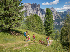 Multisport insurance Itas Active