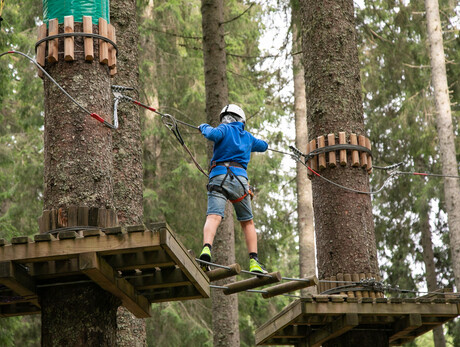 Attività al Parco Avventura Agility Forest