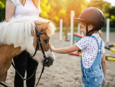Pony experiences (for children)