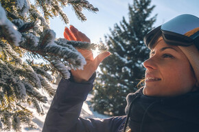 BAGNO DI FORESTA INVERNALE