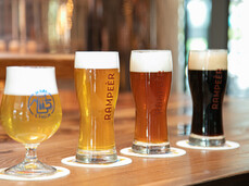 Beer Tour & Tasting Rampeèr