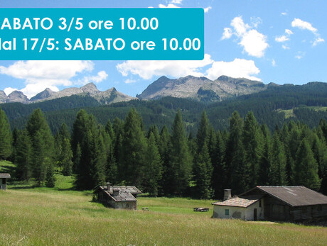 BELLAMONTE MILLE SORPRESE