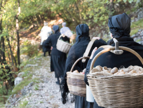 Camminata delle Teragnóle