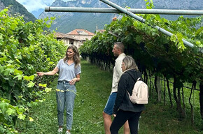 Cantina Rotaliana - Il tempo del vino Red, White & bubbles - Visita al vigneto