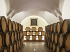 Wine Time: Red, White & Bubbles