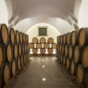 Wine Time: Red, White & Bubbles