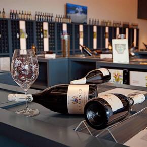 Cantine Vivallis - Trentodoc Tasting