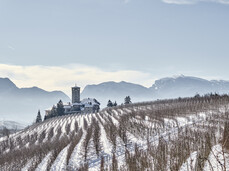 Carnevale a Castel Valer